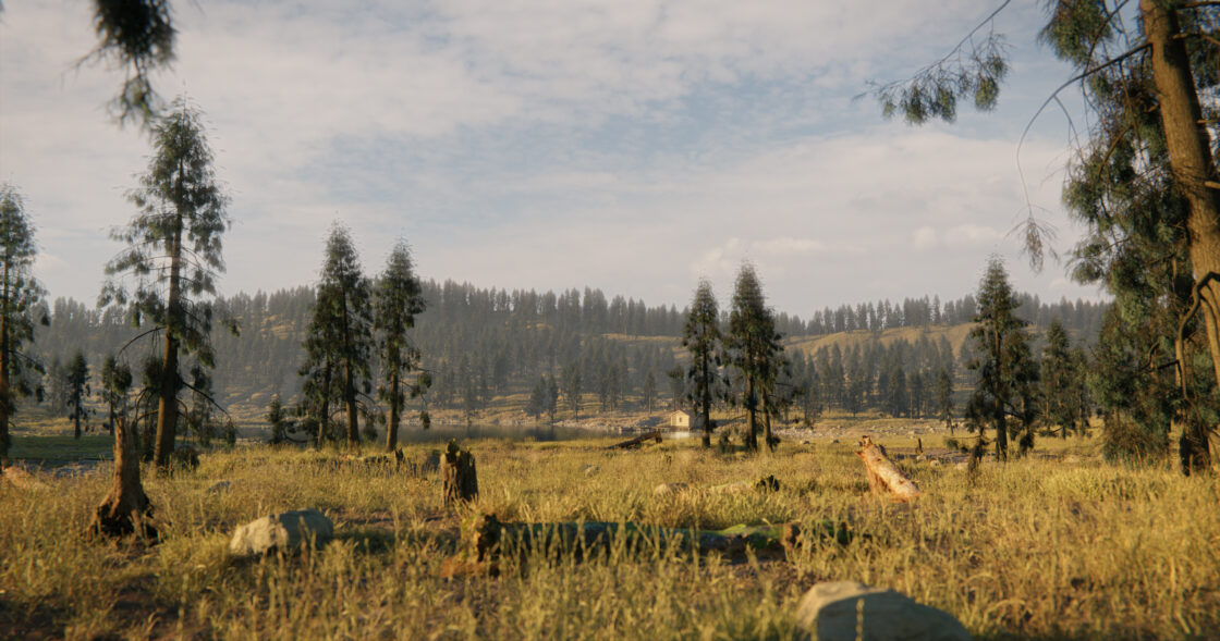 Peaceful hideout | 2021