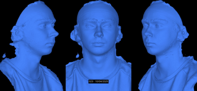 Capturing Facial Performances with a 4D Photogrammetry Rig